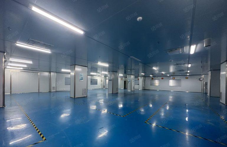 无尘车间精装修厂房1452平万江华南摩尔原房东层高4.5米