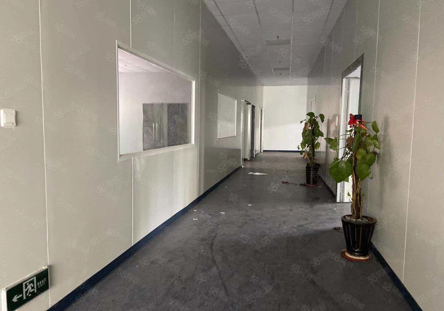 万江独院很标准的单一层厂房1000平出租，200平方起分租