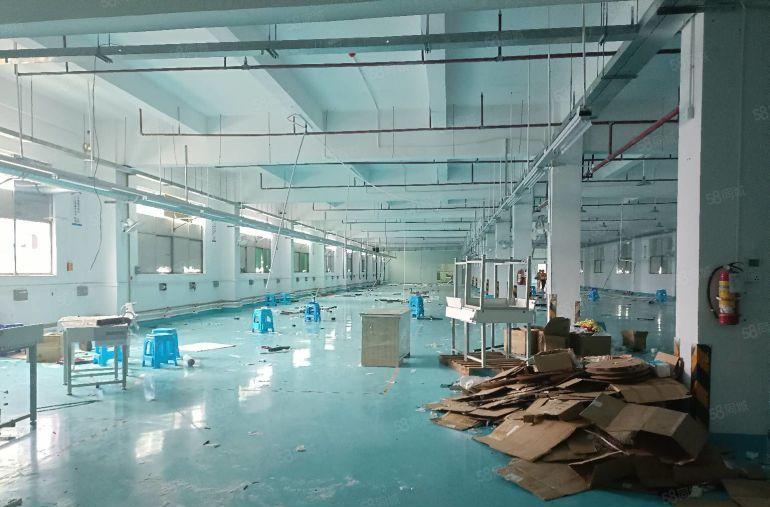 万江简沙洲新出原房东独院厂出租