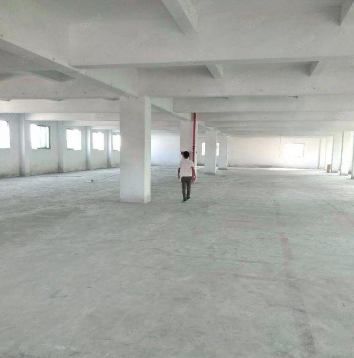 万江独院一楼1000平方带精装修，现成办公室，形象超好