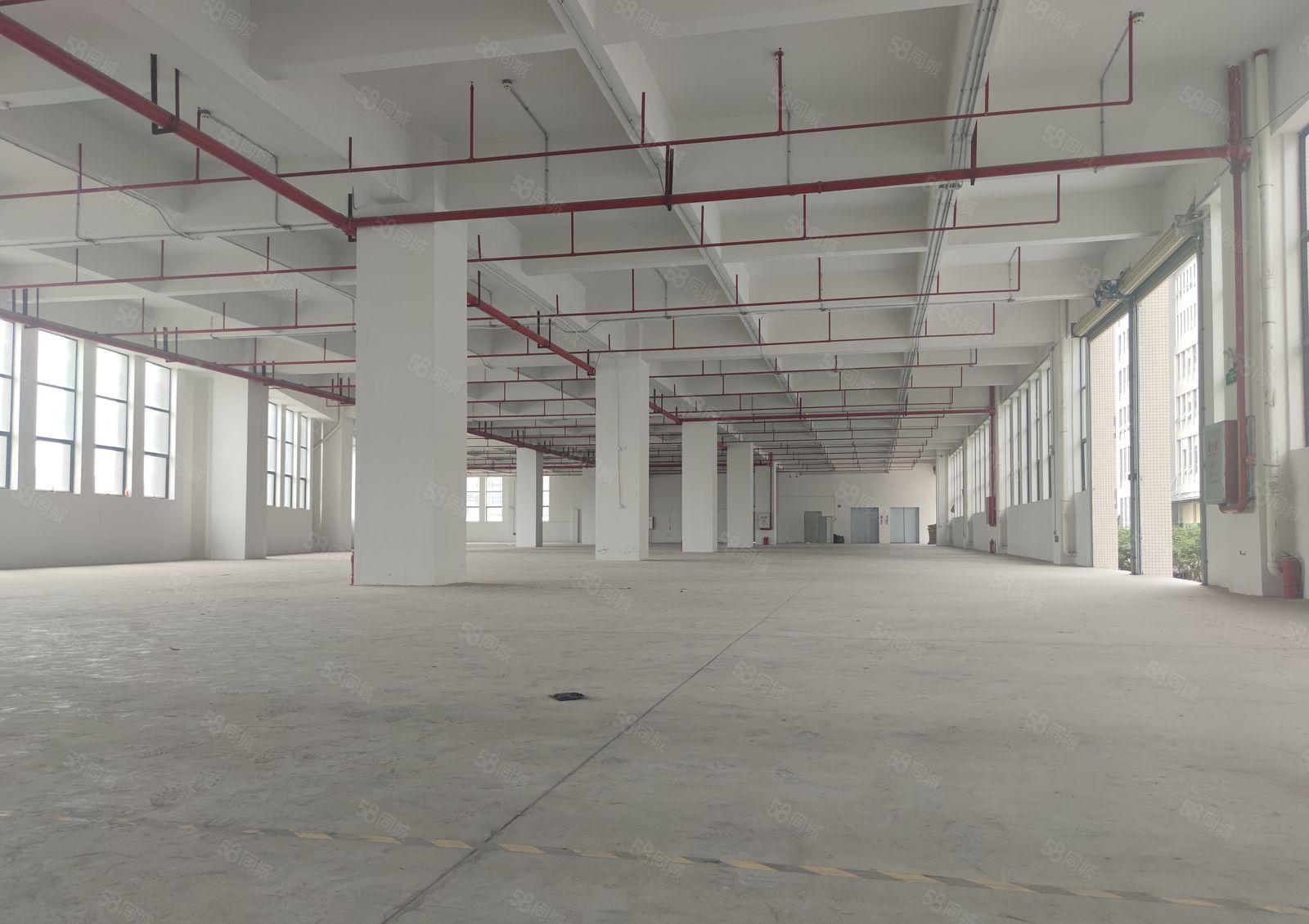 万江环城路外精装修独院红本标准厂房出租16500平米空地大