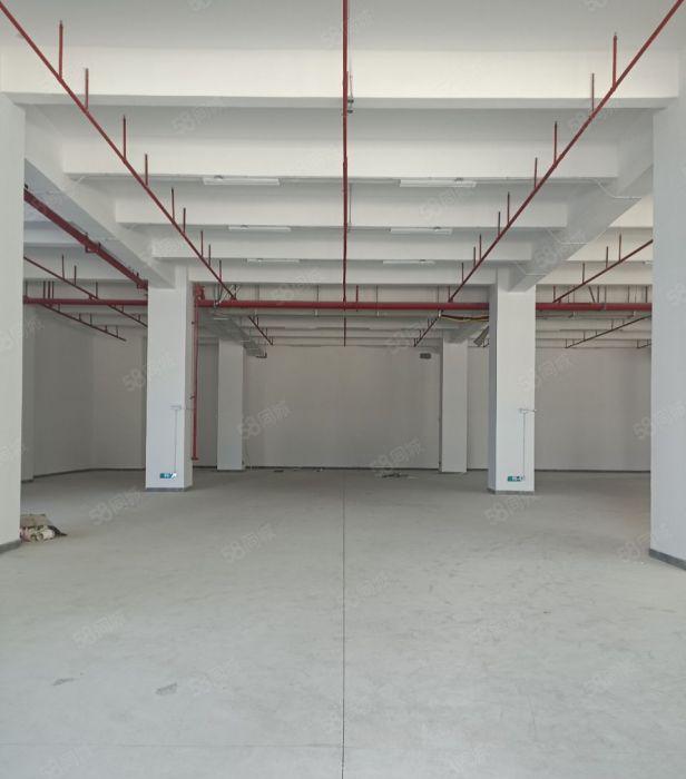 万江街道全新自建工业园区15万方，证件齐全！大小可分租！