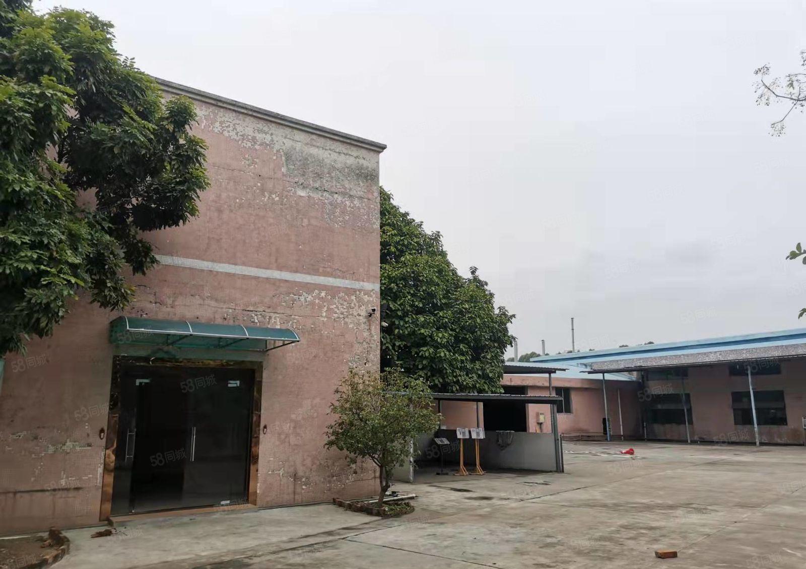 万江大汾工业区，独门独院单一层厂房出租