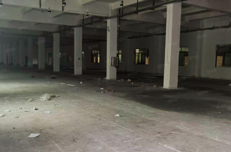 （原房东带环坪空地大）樟木头厂房出租一楼1000平刚空出