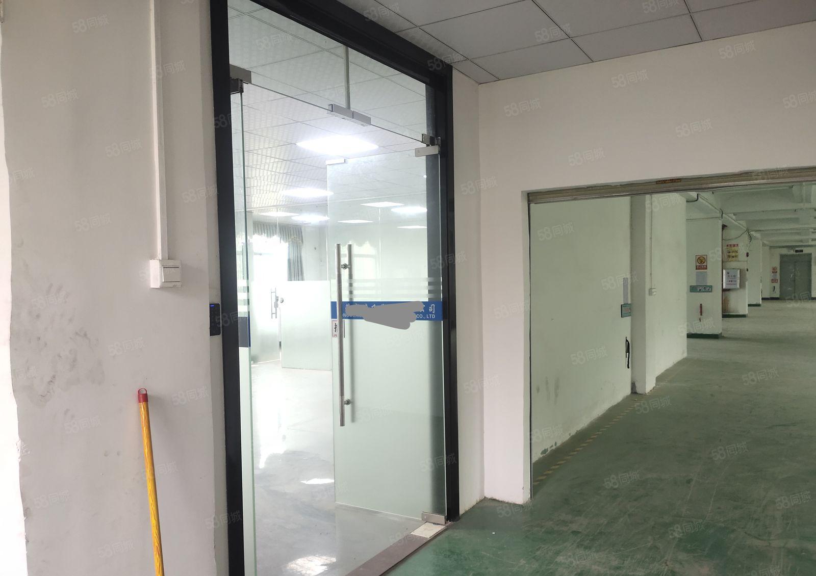 樟木头标准厂房1200平方，带现成办公室装修，主线到位。