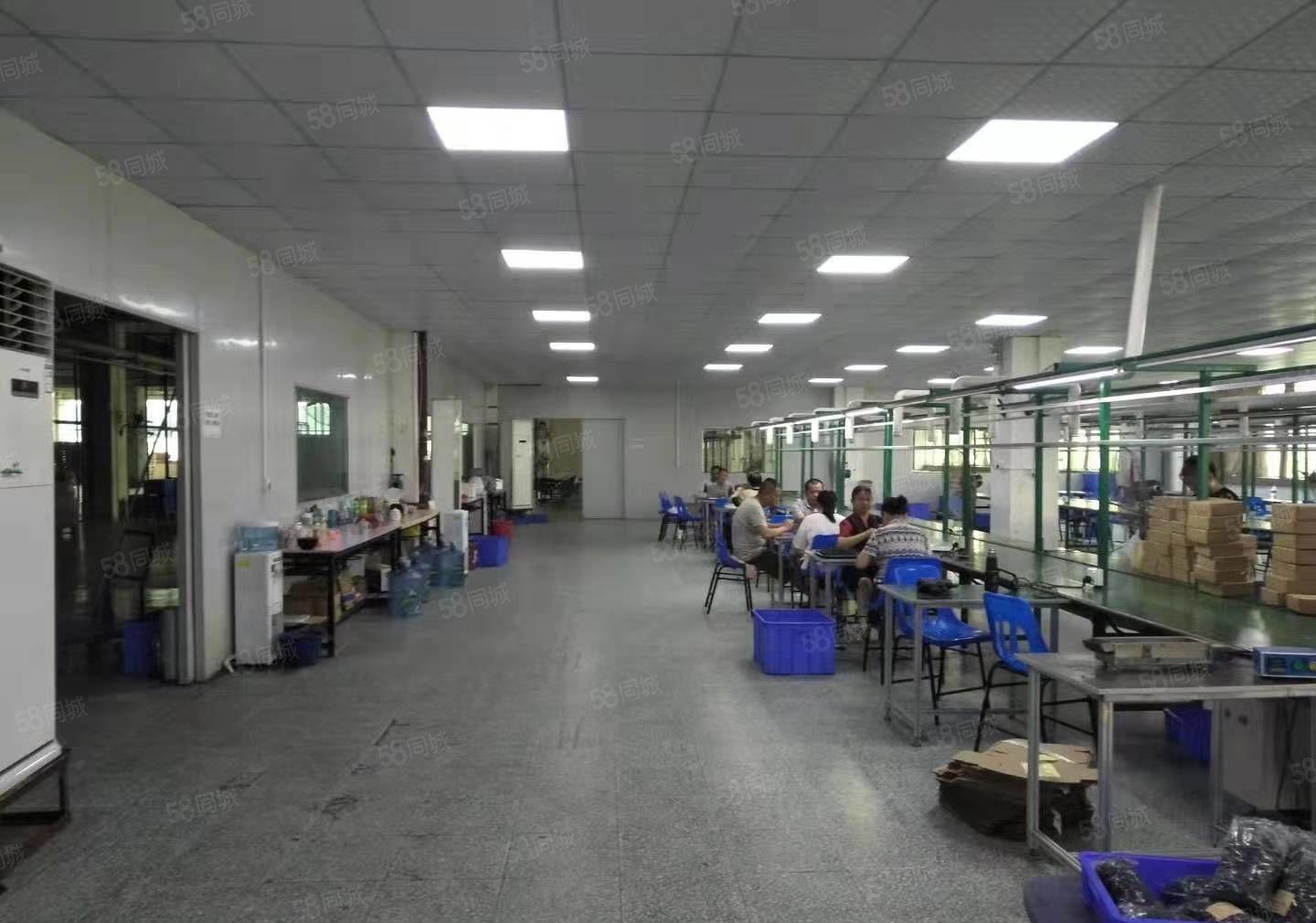 黄江镇中心新出楼上带无尘车间整层厂房1350平米