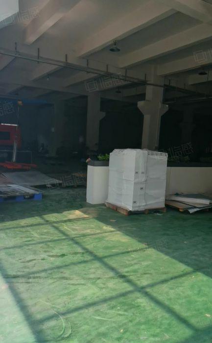 （原房东带环评）樟木头一楼厂房出租1000平方，无公摊水电齐