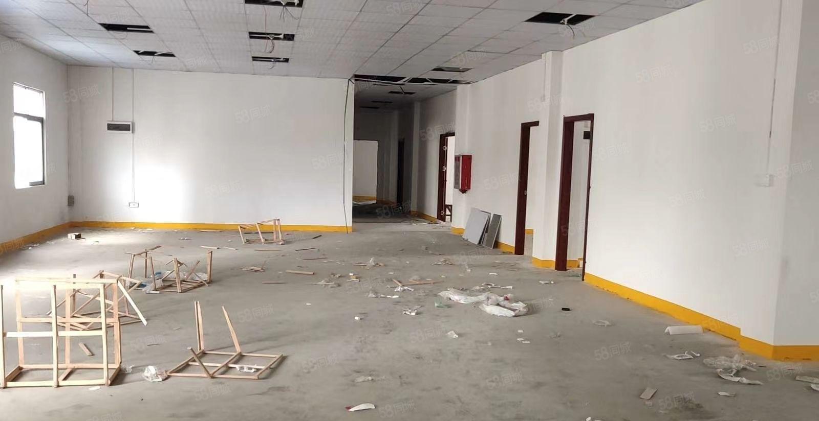 樟木头（原房东）独院厂房出租