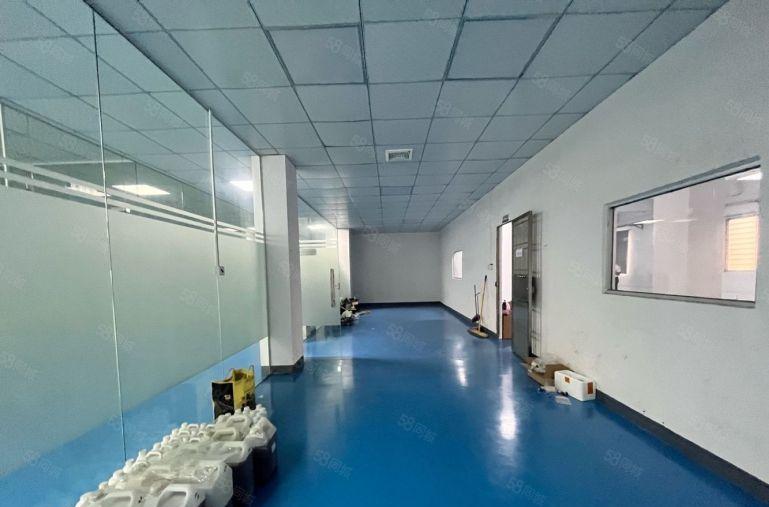 樟木头樟洋 银洋精装修300平 600平可做电池组装 10元