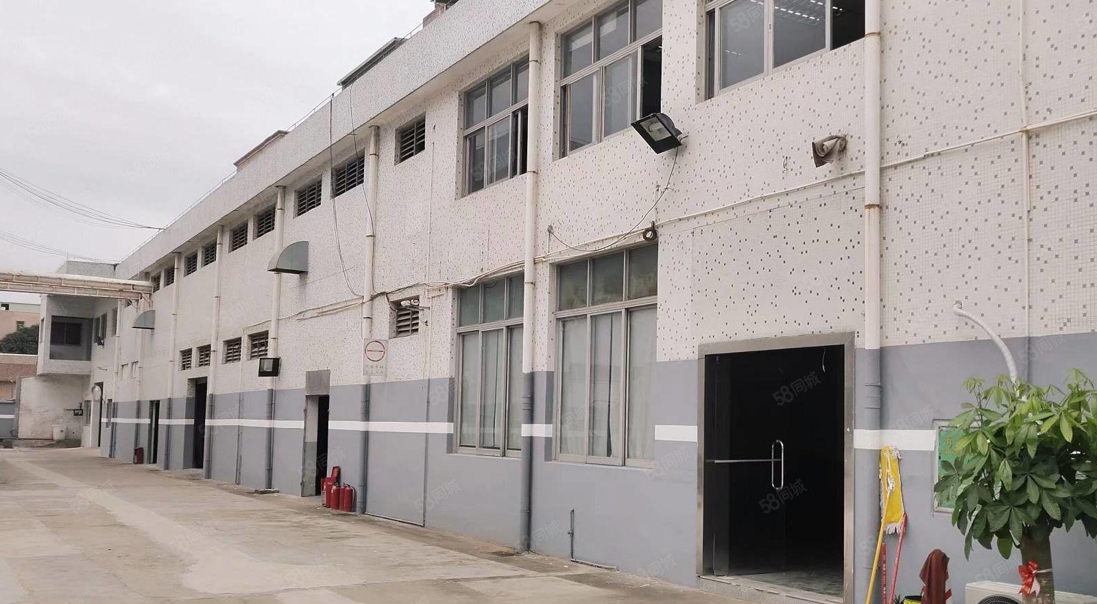 樟木头主干道旁成熟工业区标准一楼3000平厂房出租分租