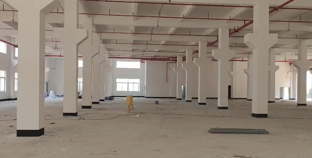 原房东急租 东莞樟洋区1280平方标准厂房 精装修 价格低