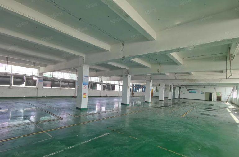 樟木头中心附近新空出一楼楼上各1000平方带办公装修低价便宜