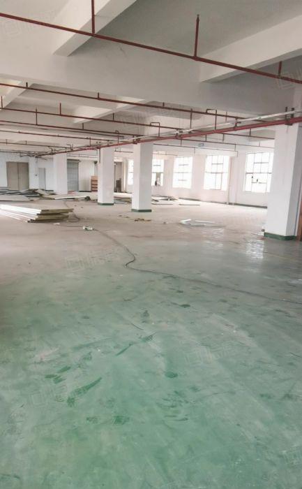 （原房东空地大）樟木头厂房出租300平方带环评带装修