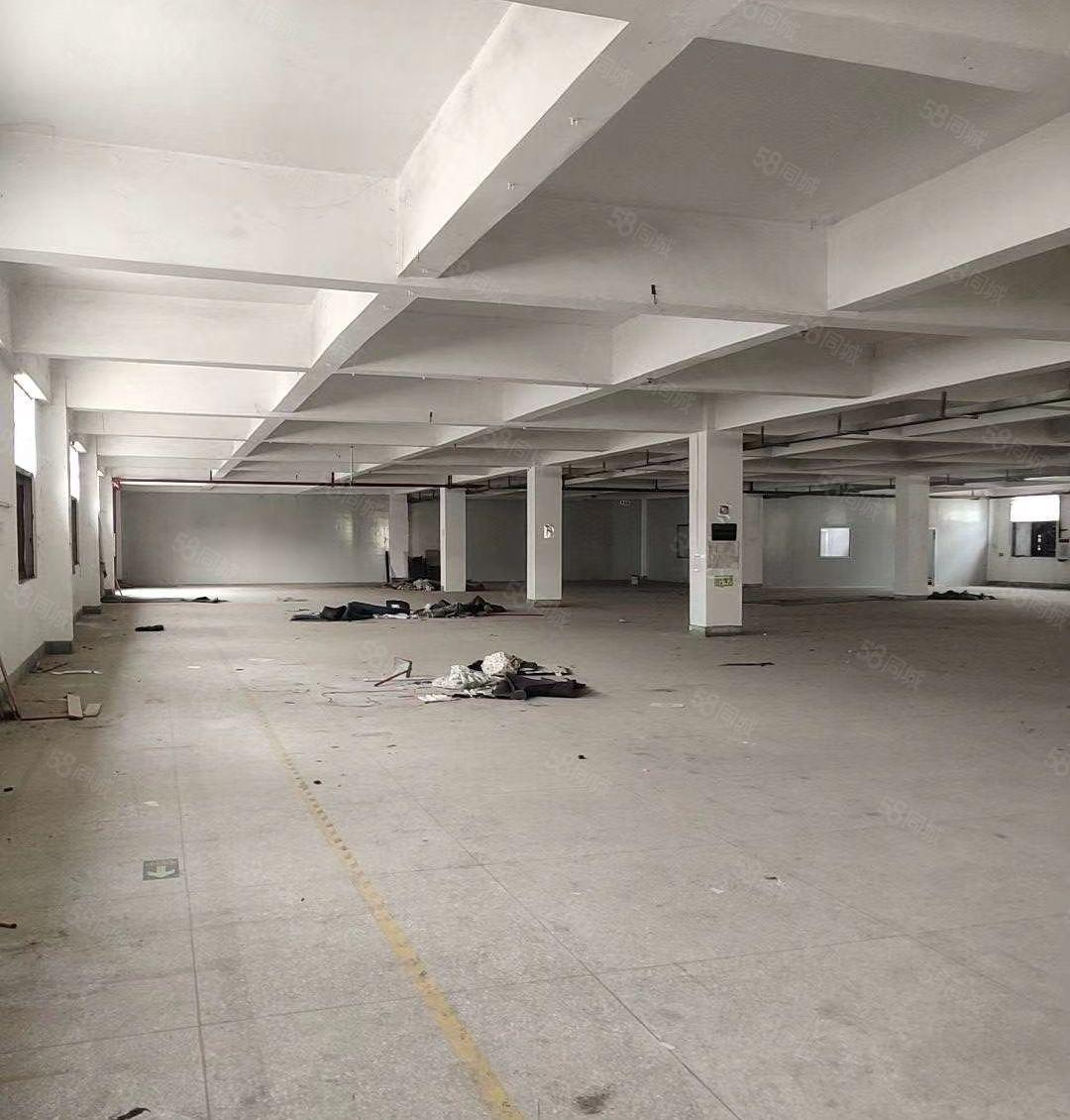 樟木头（原房东）独院厂房出租