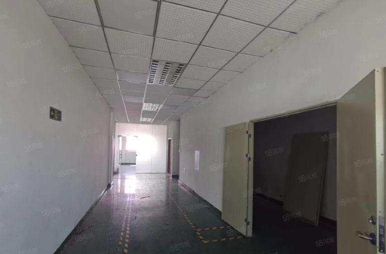 樟木头中心附近新空出一楼楼上各1000平方带办公装修低价便宜