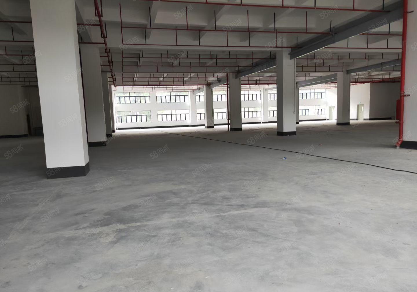 全新标准独院厂房2.7万平方，大小可分租，高度7米