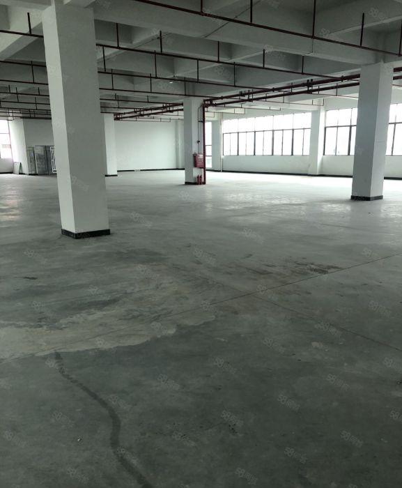 樟木头原房东厂房出租每层2200平方水电齐全低价出租