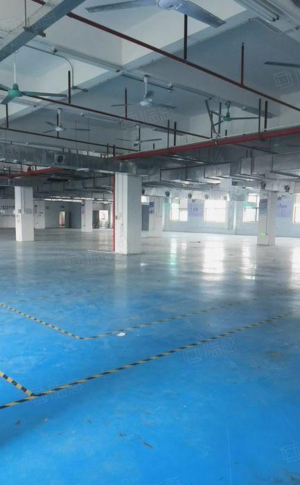 12元一楼，樟木头原房东厂房出租1500，600带环评可电池