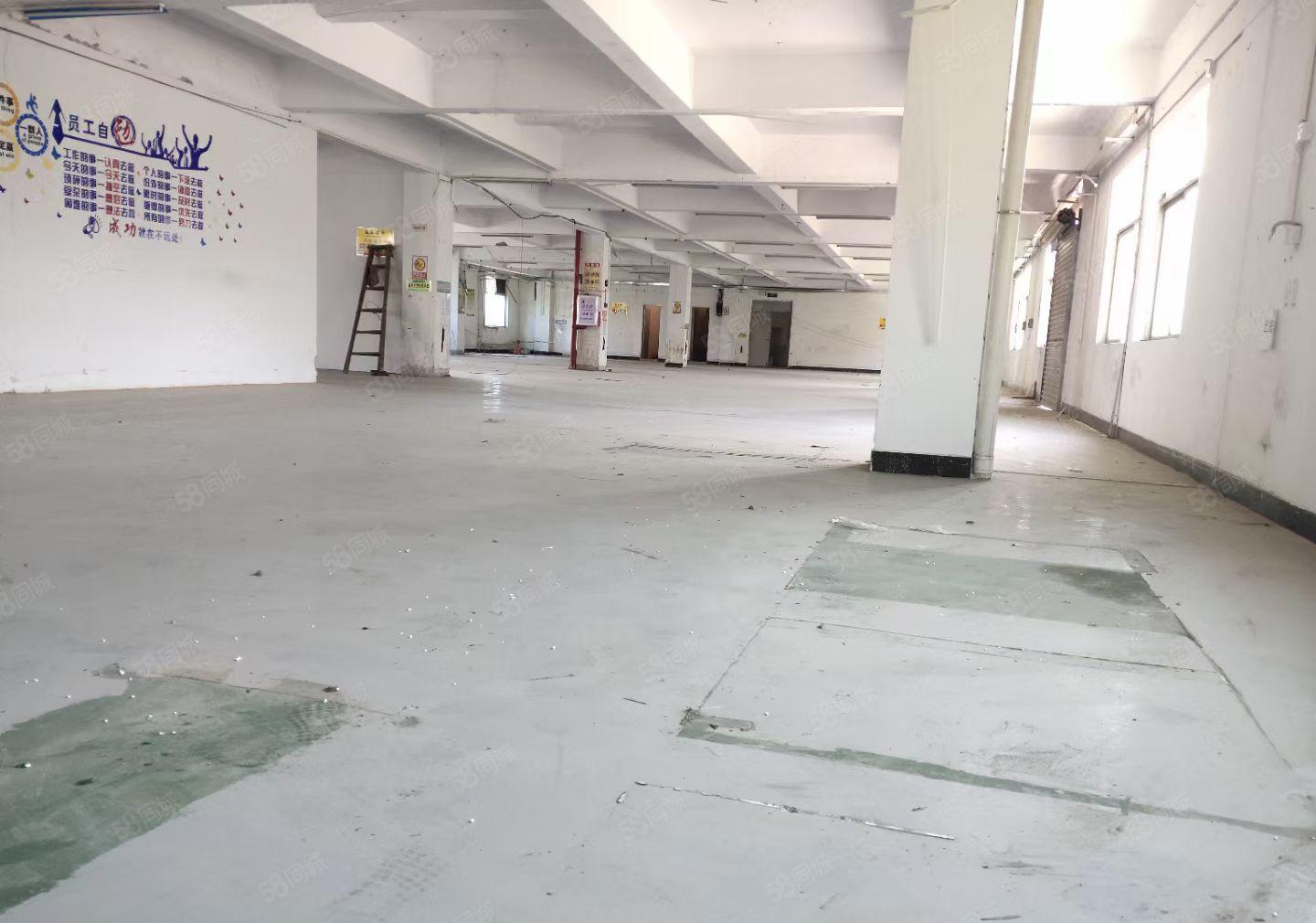 樟木头(10元）标准厂房1160平方，有现成办公室装修。