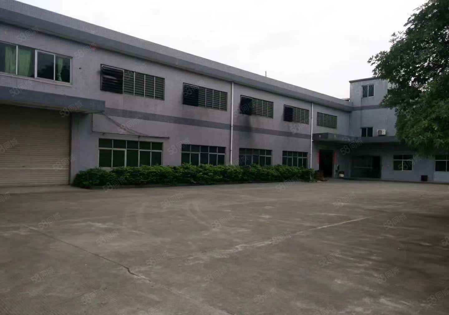 樟木头原房东独院厂房10000平方，实际面积