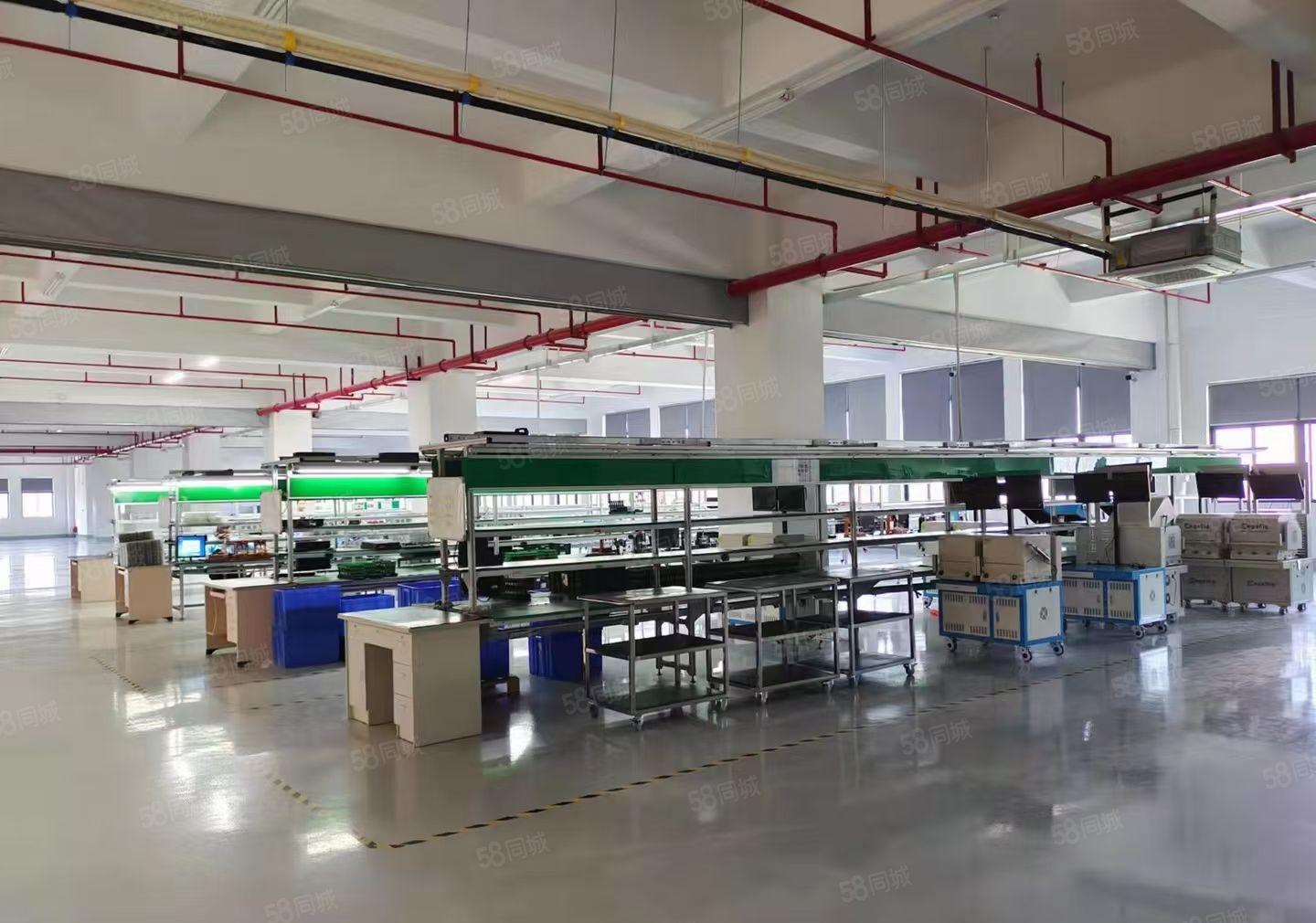 （带环评空地大）樟木头原房东厂房出租200平方水电办公室齐全