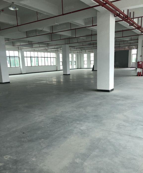 樟木头原房东厂房出租每层2200平方水电齐全低价出租