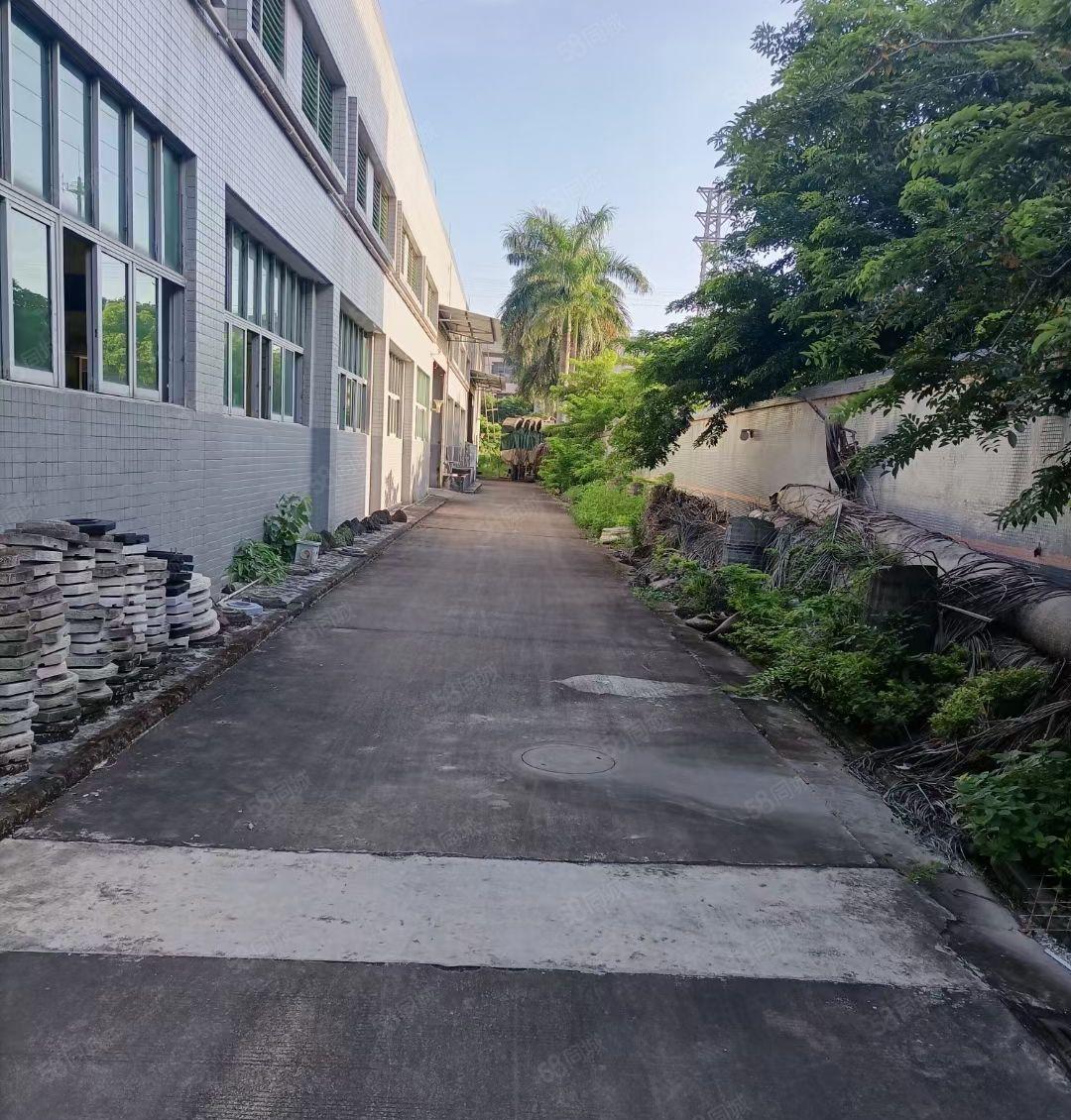 樟木头工业区新出4000平砖墙到顶钢结构厂房，可以分租