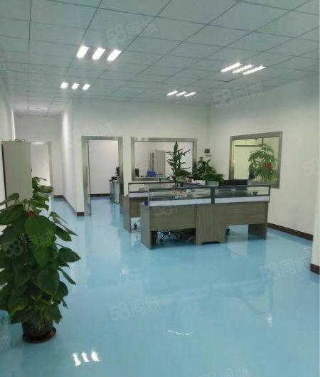 黄江镇中心新出楼上带无尘车间整层厂房1350平米