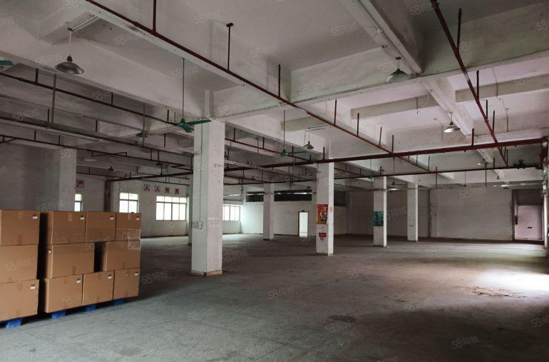 樟木头标准独院国有证消防证一楼5米水电齐全交通方便价格便宜