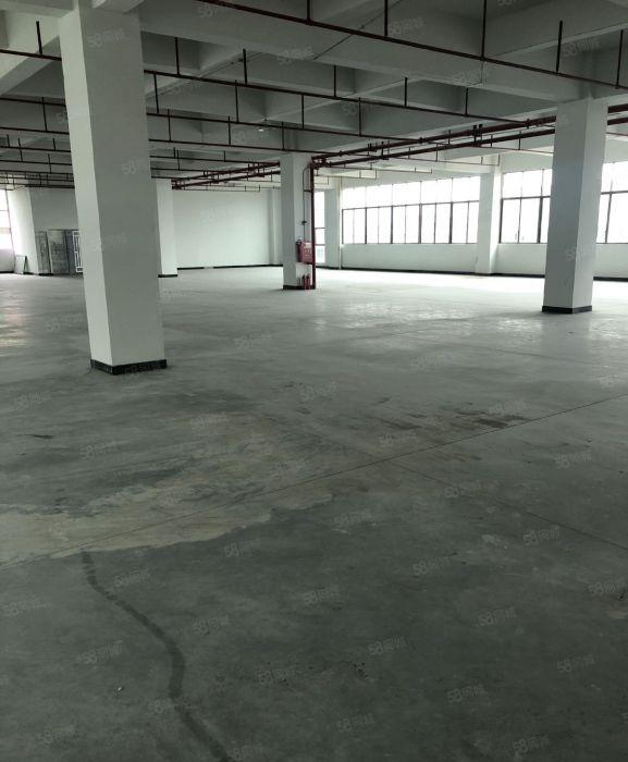 樟木头原房东厂房出租每层2200平方水电齐全低价出租