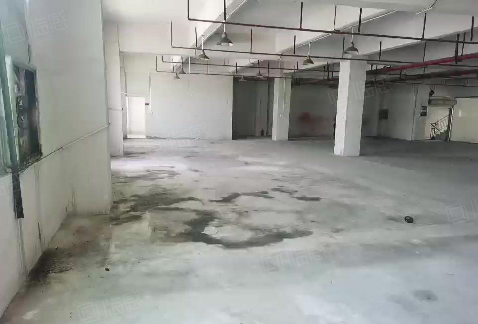 东莞樟木头原房东厂房出租1500平米无公摊园区形象佳空地大