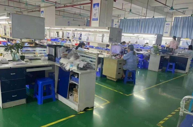 樟木头楼上精装修900平不要转让费，形象超好可办环评