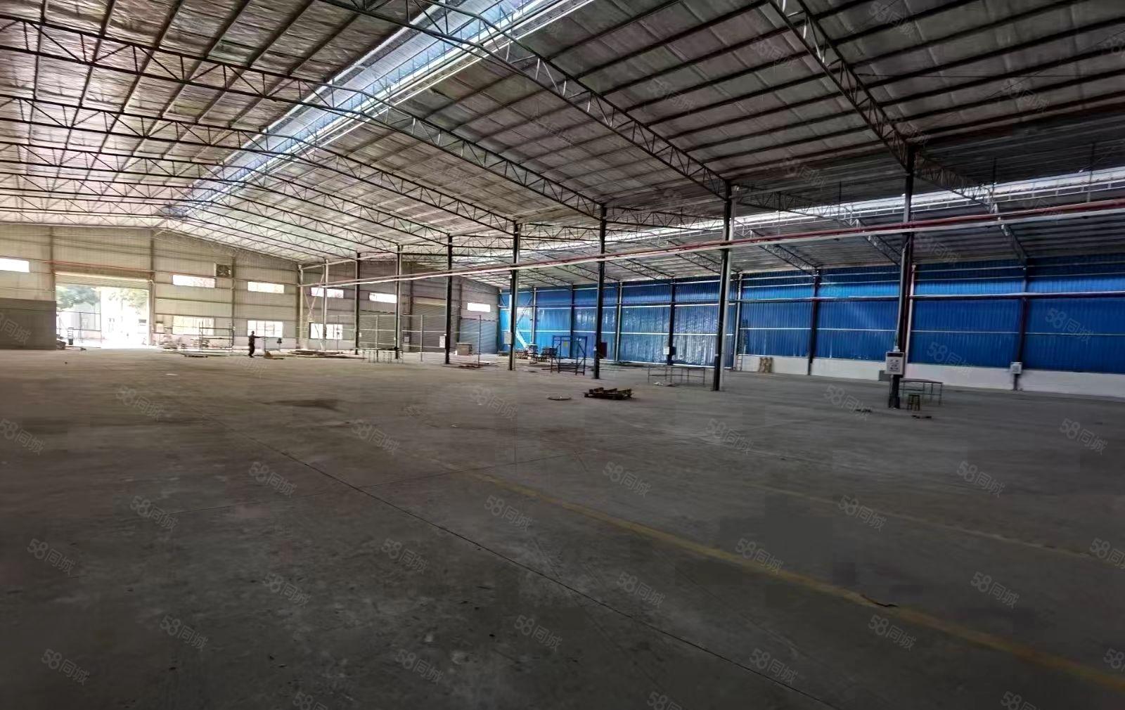 樟木头金河全新厂房4600平方，高度8.5米