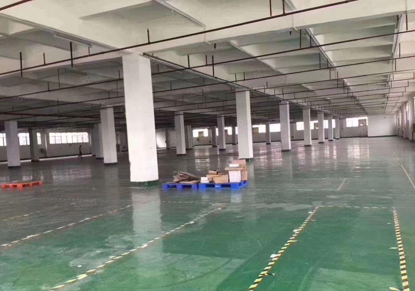 樟木头新出标准一楼2500平方(5米高），三楼2100平方，