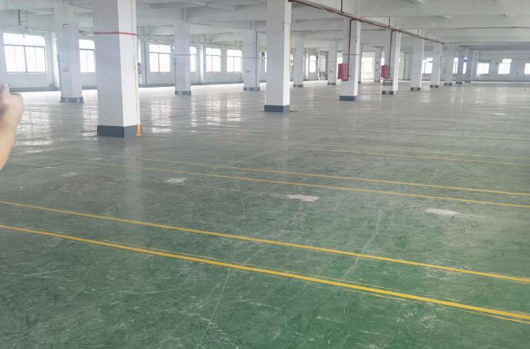 （带注塑环评空地大）樟木头原房东厂房出租一楼600平方带装修