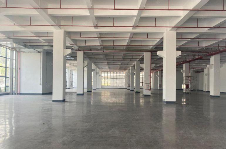 原房东13元500平起租樟木头桥头谢岗8000平厂房仓库招租