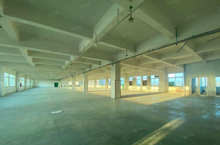 急租大朗楼上地坪漆精装修天花吊顶合适电子五金贸易注塑