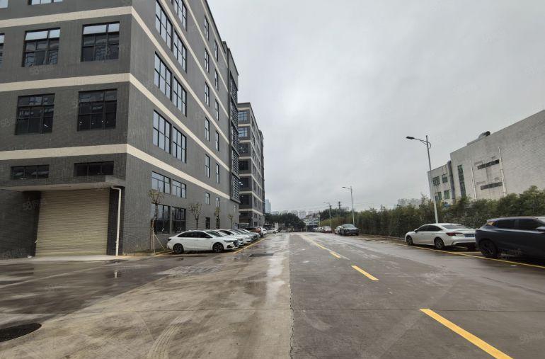 大朗一手房东全新红本独门独院厂房仓库出租适合新能源新材料产业