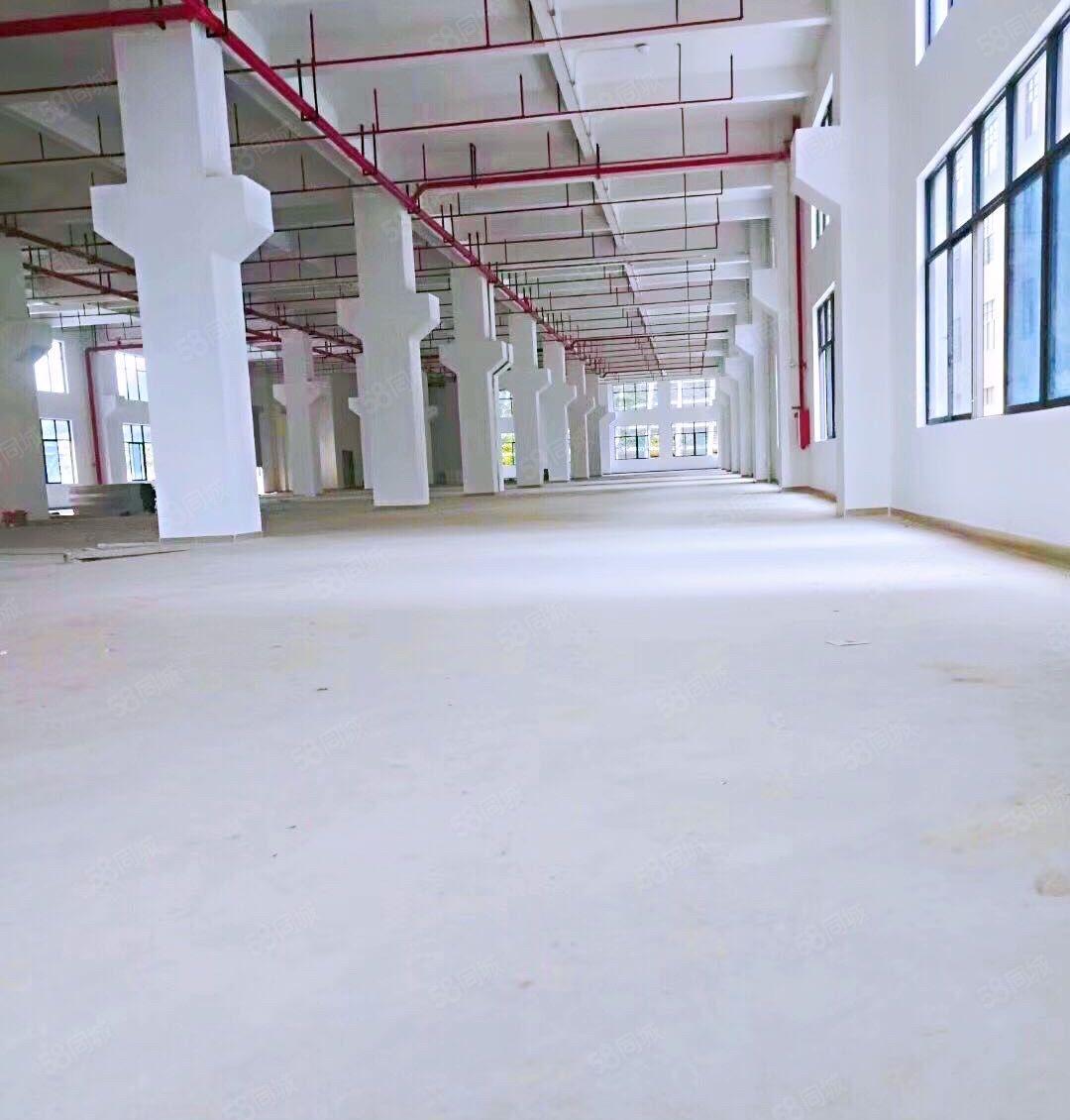 急租16块一楼1000平米带牛角包办环评