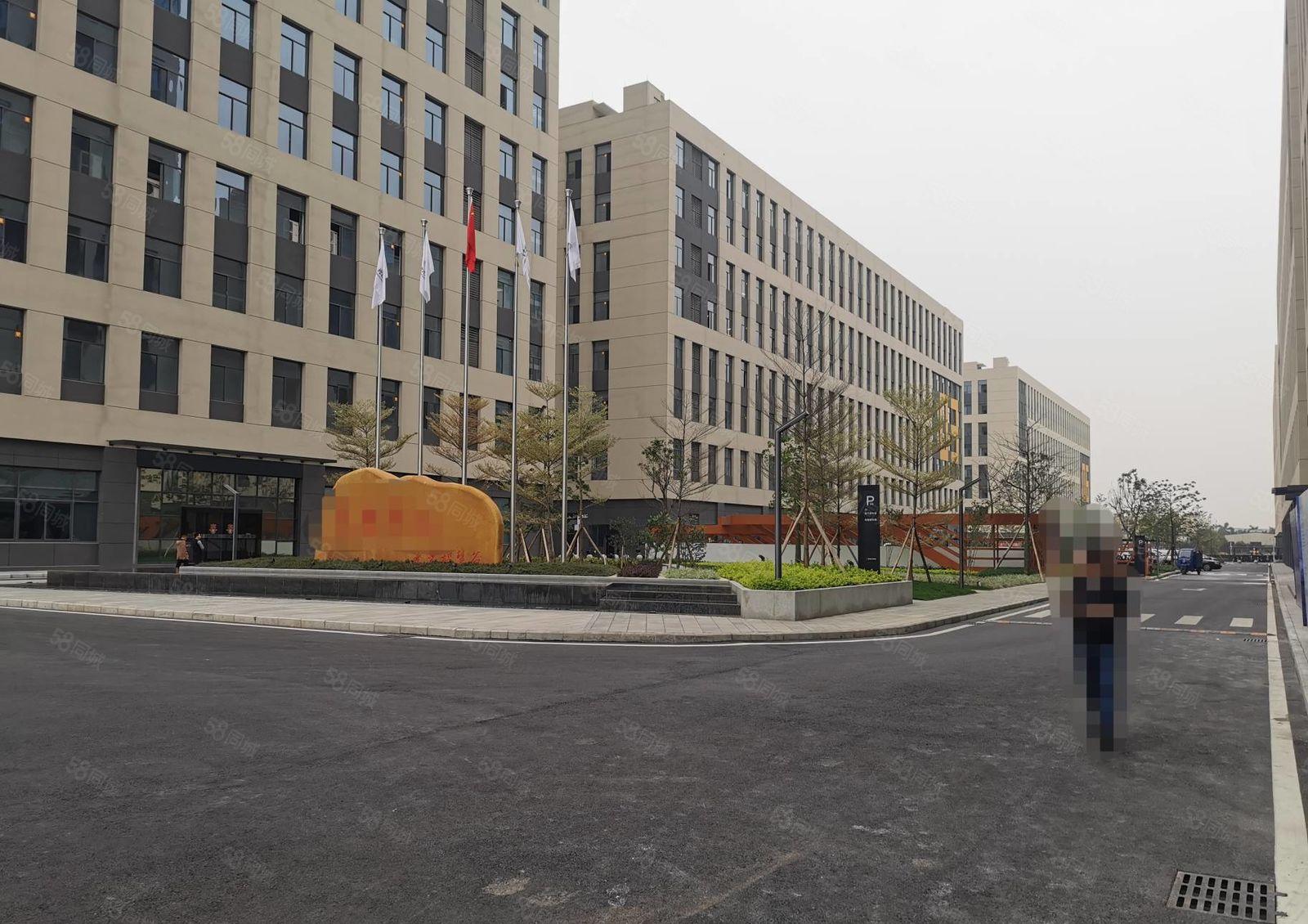 大朗洋乌村全新重工业厂房出租楼上层高6米承重2吨面积可分