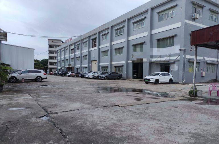 大朗镇  标准厂房  独门独院  仓库  厂房出租