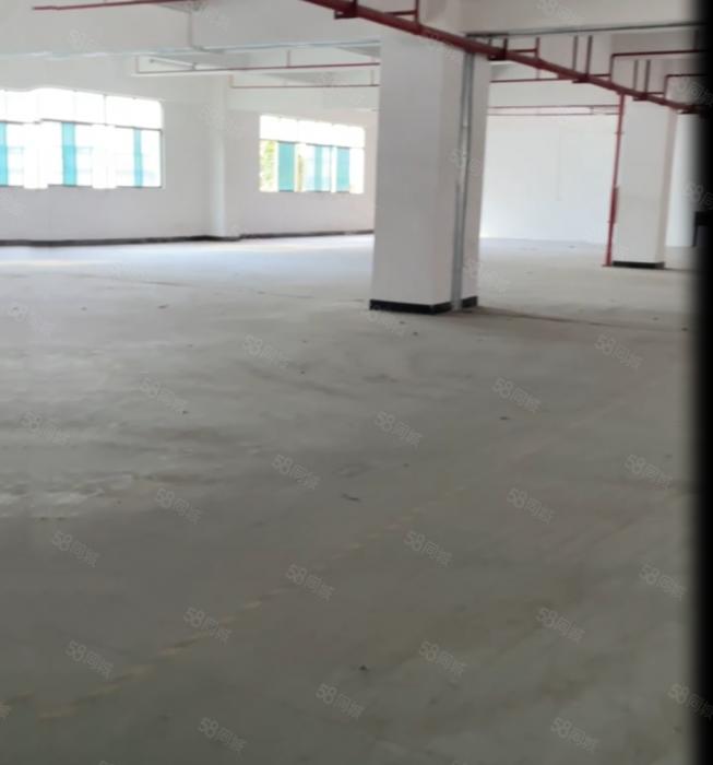 大朗靠大岭山独院二楼带办公室1000平厂房出租 现成环评