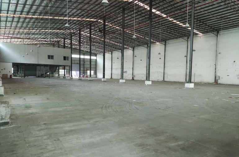 大朗600平钢构诚意出租 滴水13米 交通便利 高速路口旁