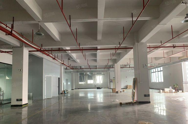 大朗楼上带精装修1500平厂房出租适合做电子线材电商仓库等