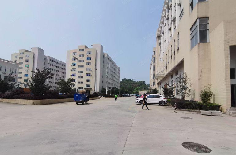 500起租大朗体育馆3万m园区厂房仓库出租一楼17二楼9元