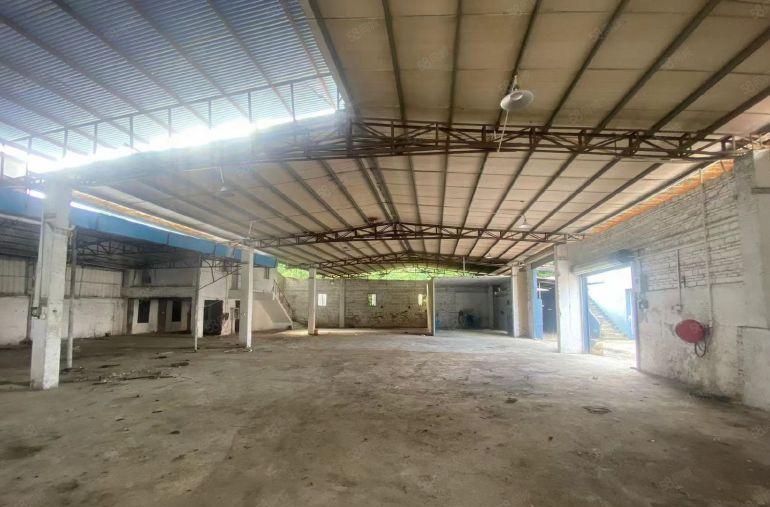 大朗S357旁原房东单一层独院1100平方厂房出租 可办环评