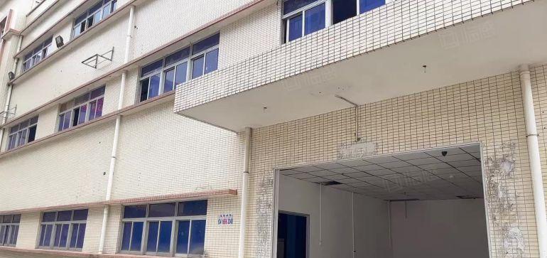 出租|大朗独院厂房低价原房东直招，专为特殊环评客户准备