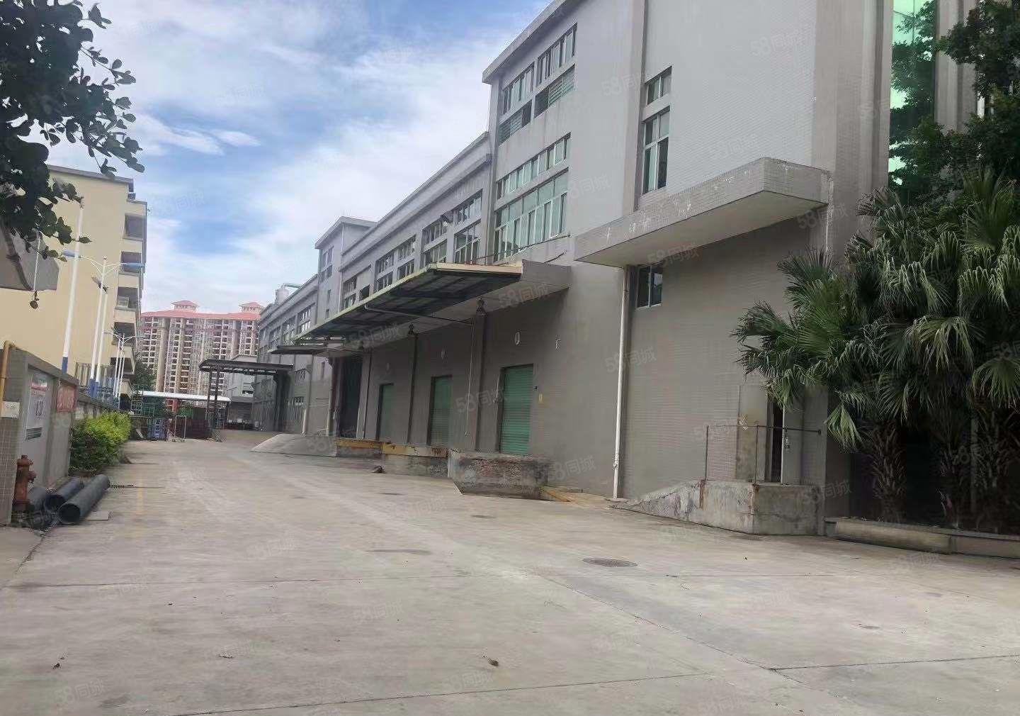 大朗厂房新出标准厂房13000平方空地大厂房出租可分租