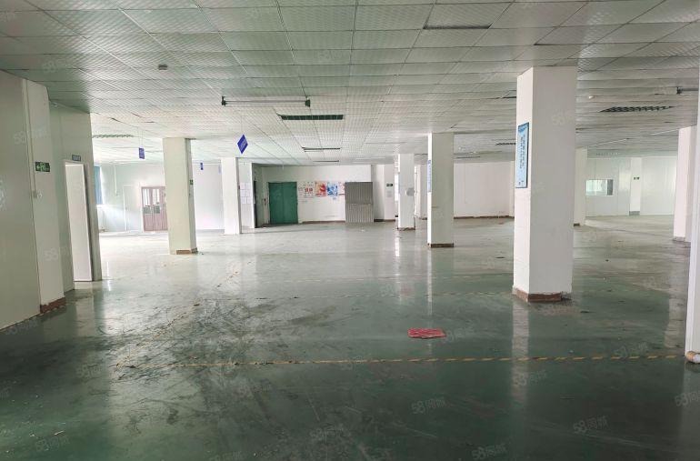 大朗松山湖精装1400平厂房诚意出租 配电按需 园区停车免费