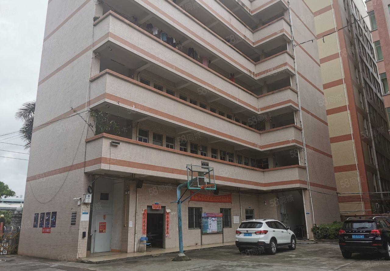 独门独院厂房 形象好 园区大 成熟工业园区